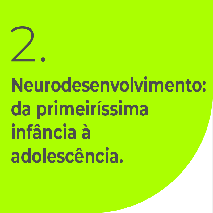 Neurodesenvolvimento da primeiríssima infância à adolescência.